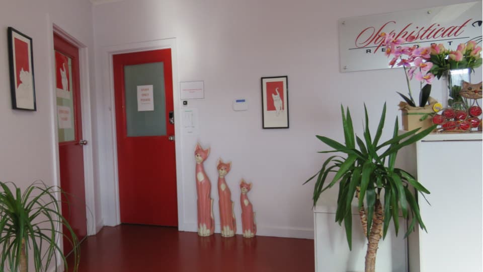 new_reception_960x540a